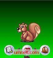 game pic for virtual squirrel